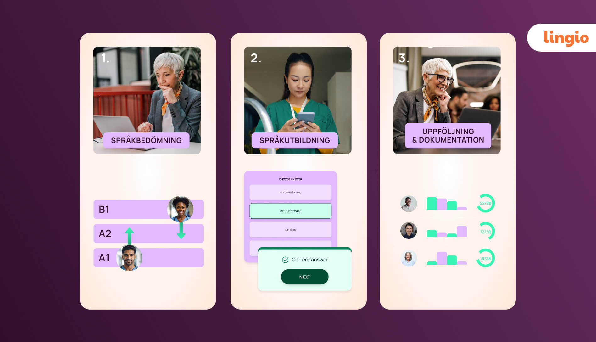 Lingios losning for sprakbedomning 1